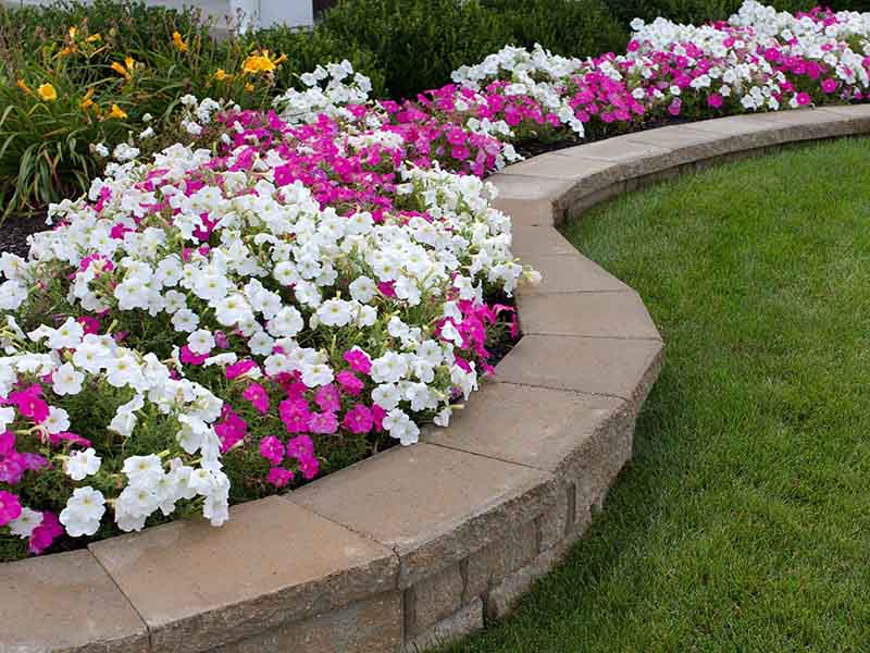 Laggning av stenmur i tradgard Bandhagen Hogdalen